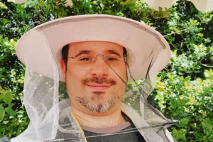 Foundation Beekeeping Course - Online